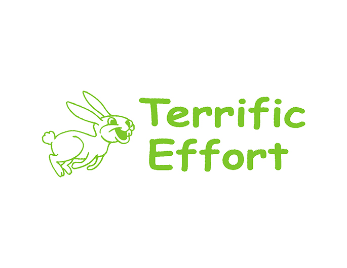 Xstamper #35160 Terrific Effort Teacher Stamp.  Pre-Inked stamp in green ink.  Thousands of impressions.  Re-Inkable.  Size:  1/2" x 1 5/8"