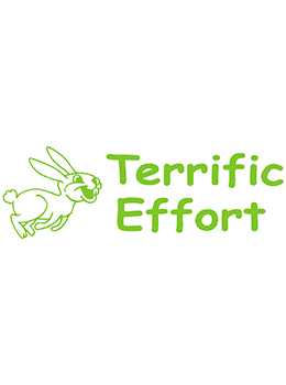 Xstamper #35160 Terrific Effort Teacher Stamp.  Pre-Inked stamp in green ink.  Thousands of impressions.  Re-Inkable.  Size:  1/2" x 1 5/8"